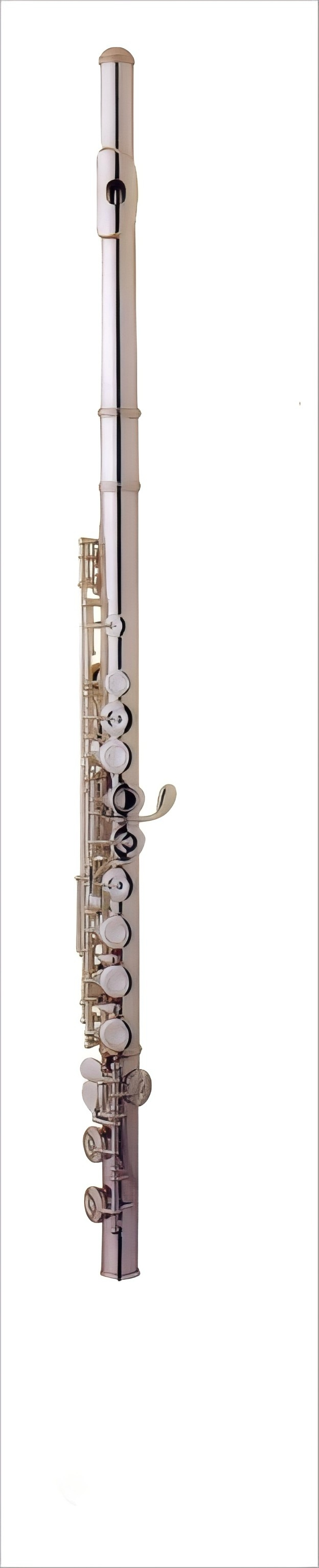 Flute