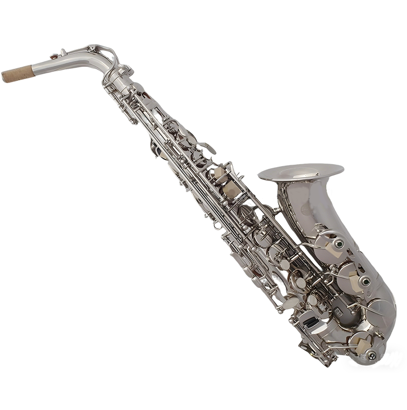 KT-s202
