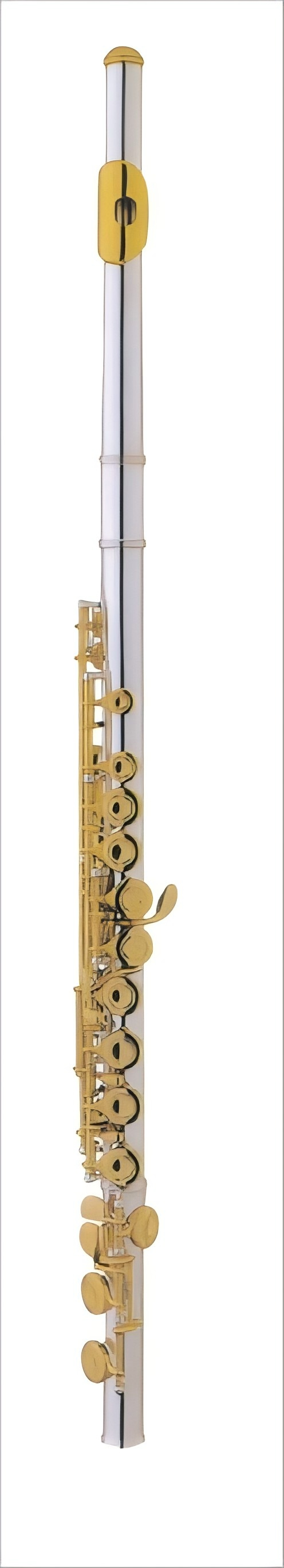 Flute