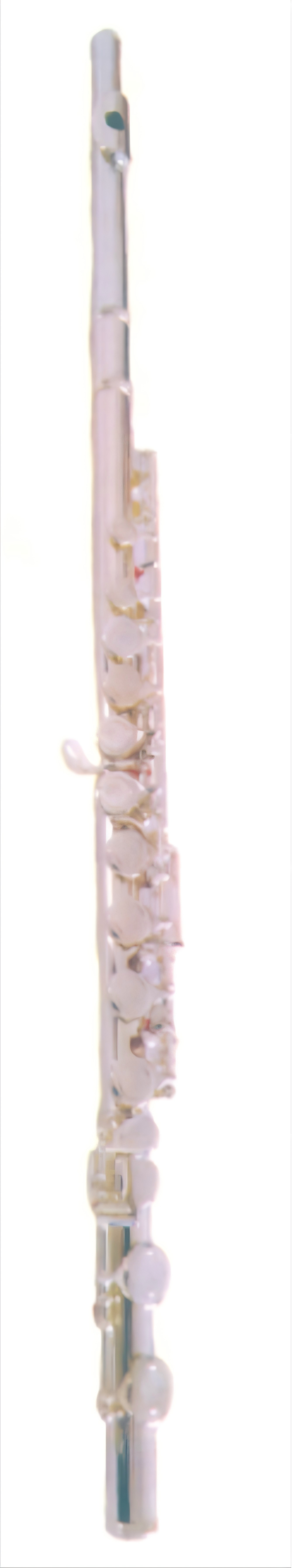 Flute