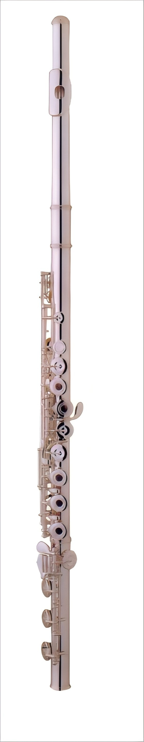 Flute